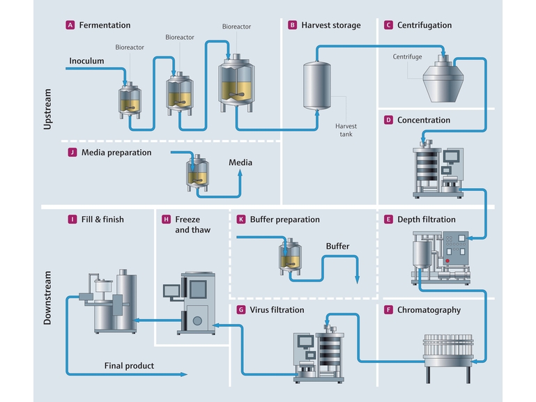Biopharma-Prozessübersicht