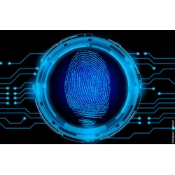 Video Heartbeat Technology