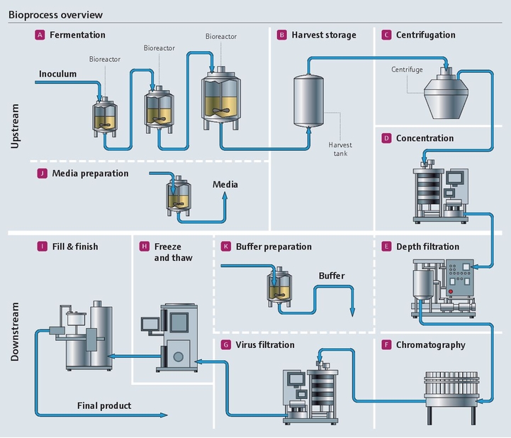 Bioprozess in der Pharmaindustrie