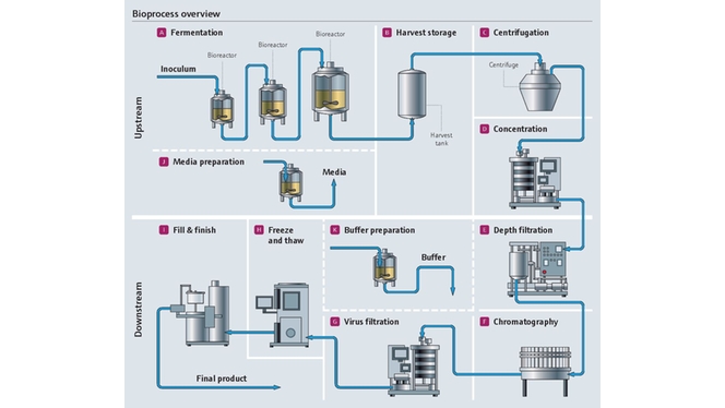 Bioprozess in der Pharmaindustrie