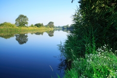 Gewässerschutz ist Lebensschutz Flusslandschaft