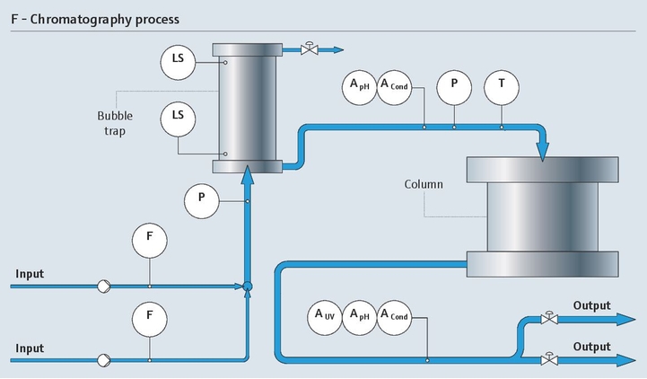 Chromotography process