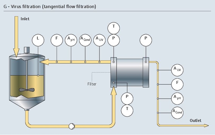 Virus filtration proces