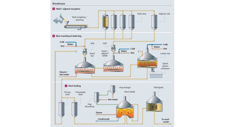 Processes in the brewhouse