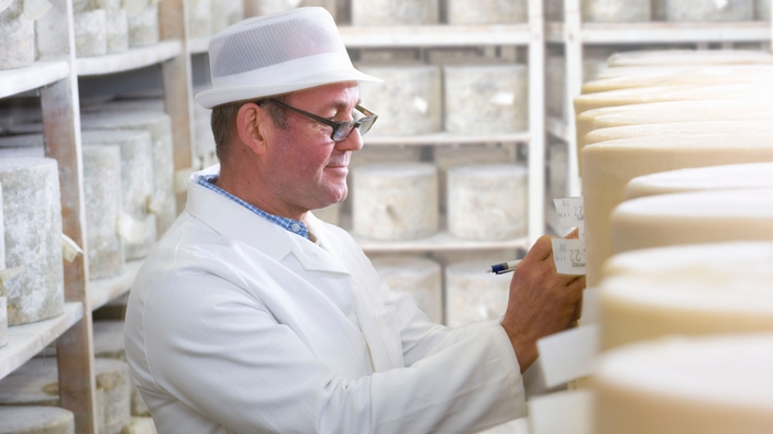 Käsereiarbeiter bei der Prüfung des Käses