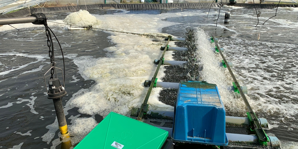 Optimale Bedingungen für die Garnelenproduktion mit Hilfe eines Online-Systems zur Überwachung der Wasserqualität Zuverlässige Überwachung der Wasserqualität für die Garnelenproduktion in Aquakulturen