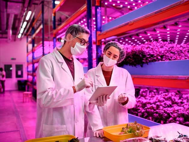 pH measurement in a smart vertical farming plant to guarantee best quality food