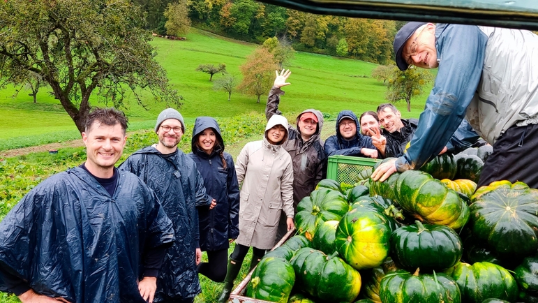 Harvesting the pumpkin seeds at the farm in Sitzenkirch (Germany)