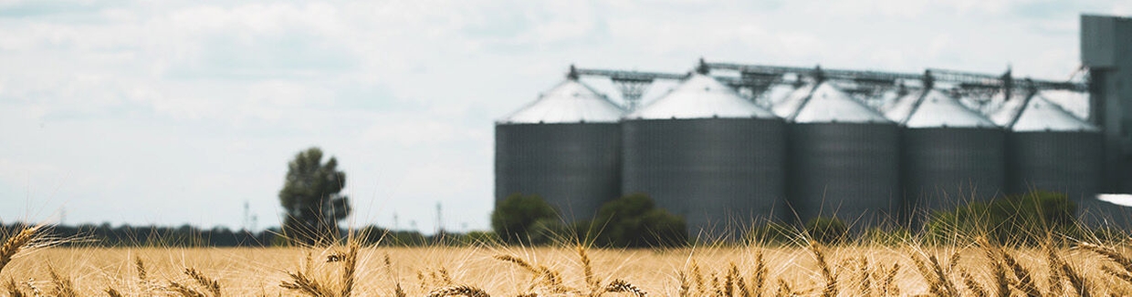 Eine agrarwirtschaftliche Anlage zur Lagerung von Lebensmitteln in Lagertanks, Schüttgutsilos