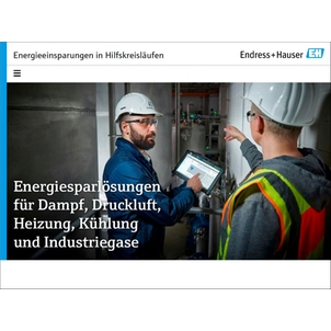 ebook 
Energieeinsparungen in Hilfskreisläufen